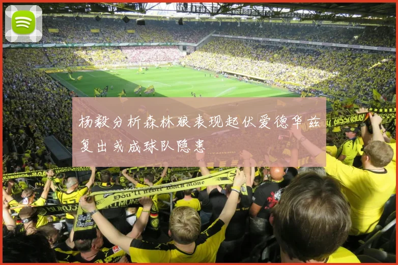 杨毅分析森林狼表现起伏爱德华兹复出或成球队隐患